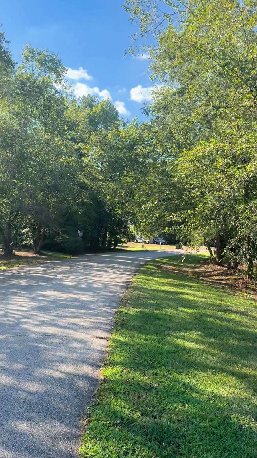 A paved neighborhood road curving away under a canopy of trees, with a mown grass verge and blue sky above.